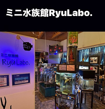 ミニ水族館RyuLabo