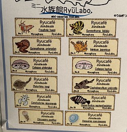 ラベルシールを12種類集めよう！