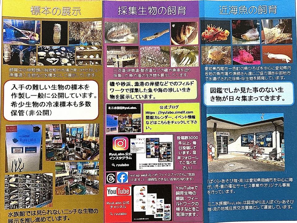 リーフレット裏面