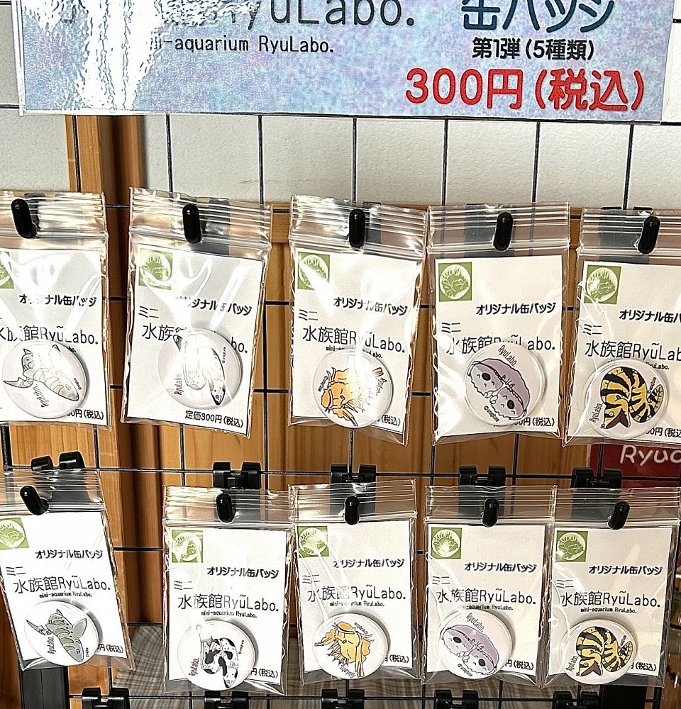 新商品オリジナル缶バッジ300円