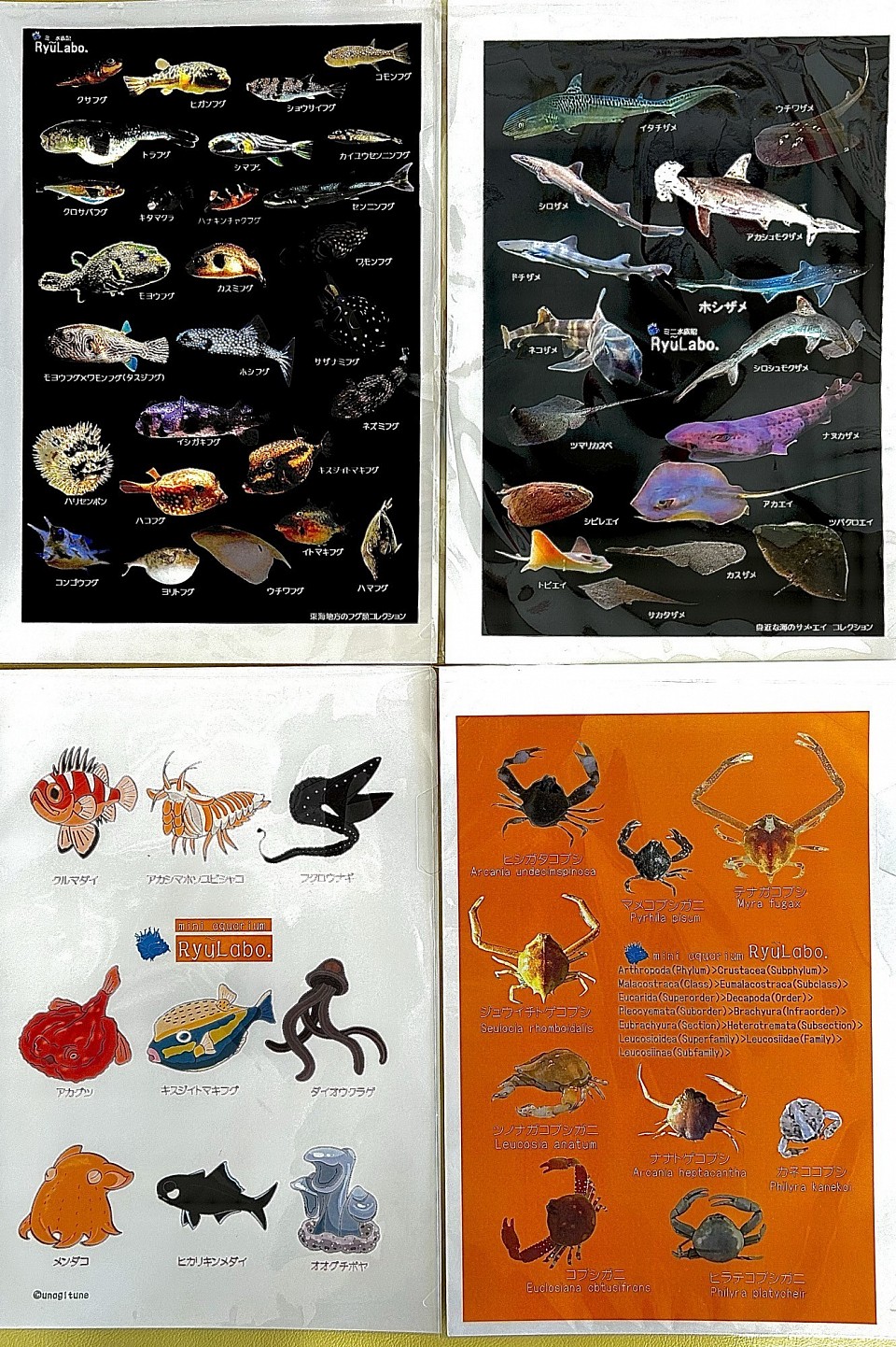 新商品オリジナルファイル4種類