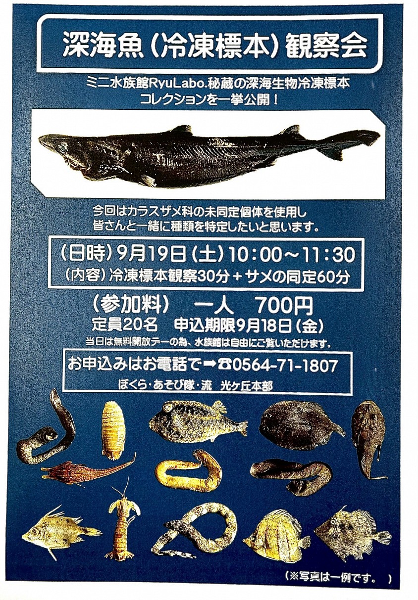 是非お申し込み下さい